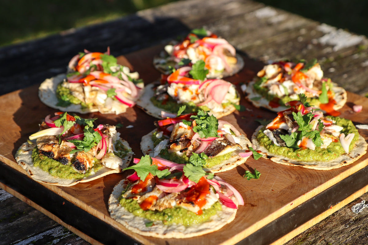 Grilled seabass tacos with