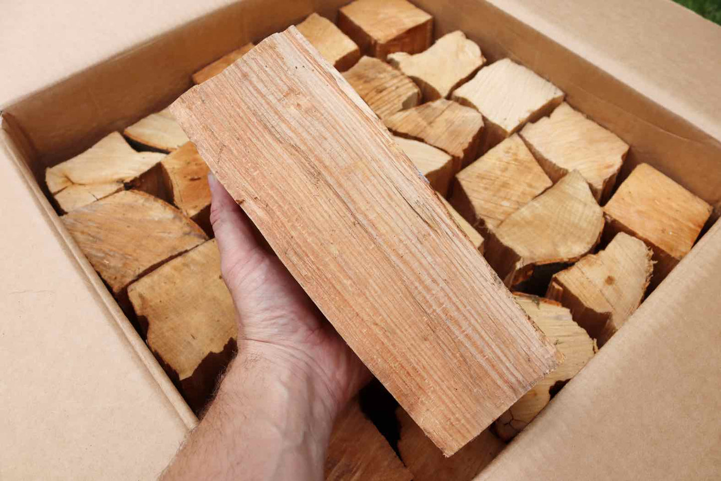 25cm British Kiln-Dried Log Held in Hand