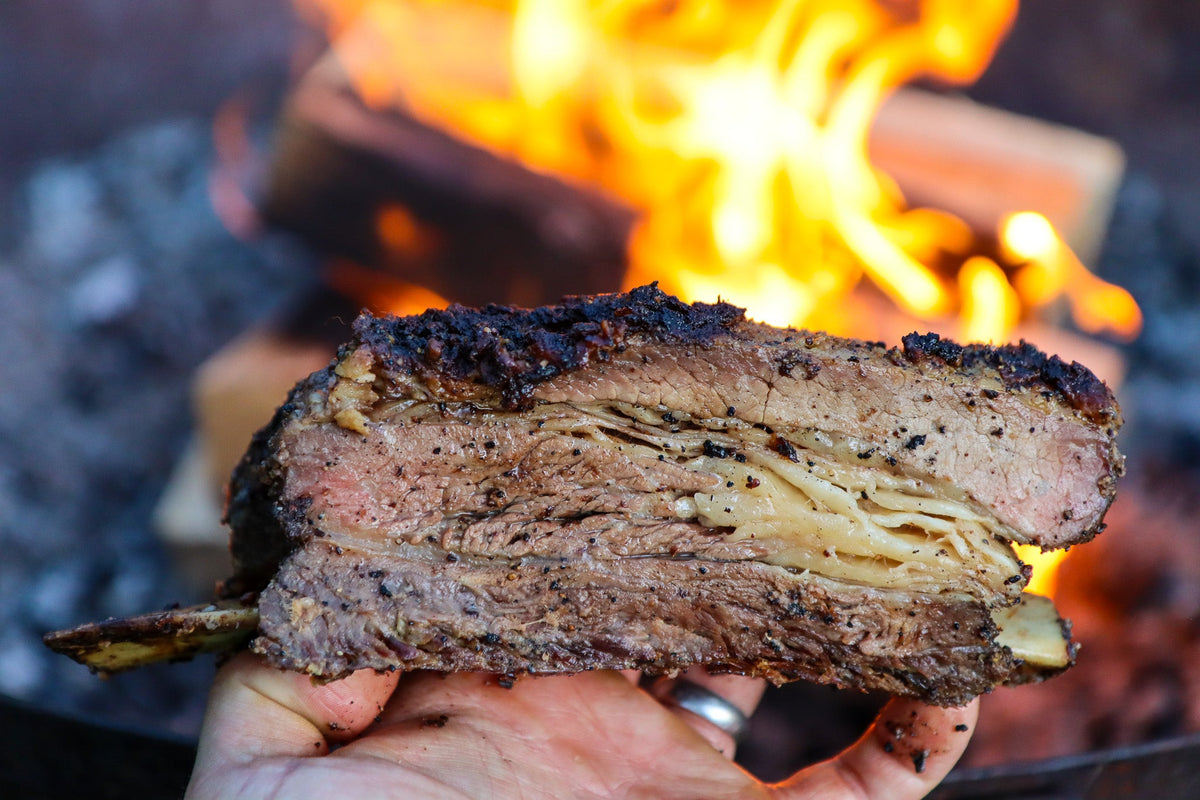 Dino beef ribs in front of a fire