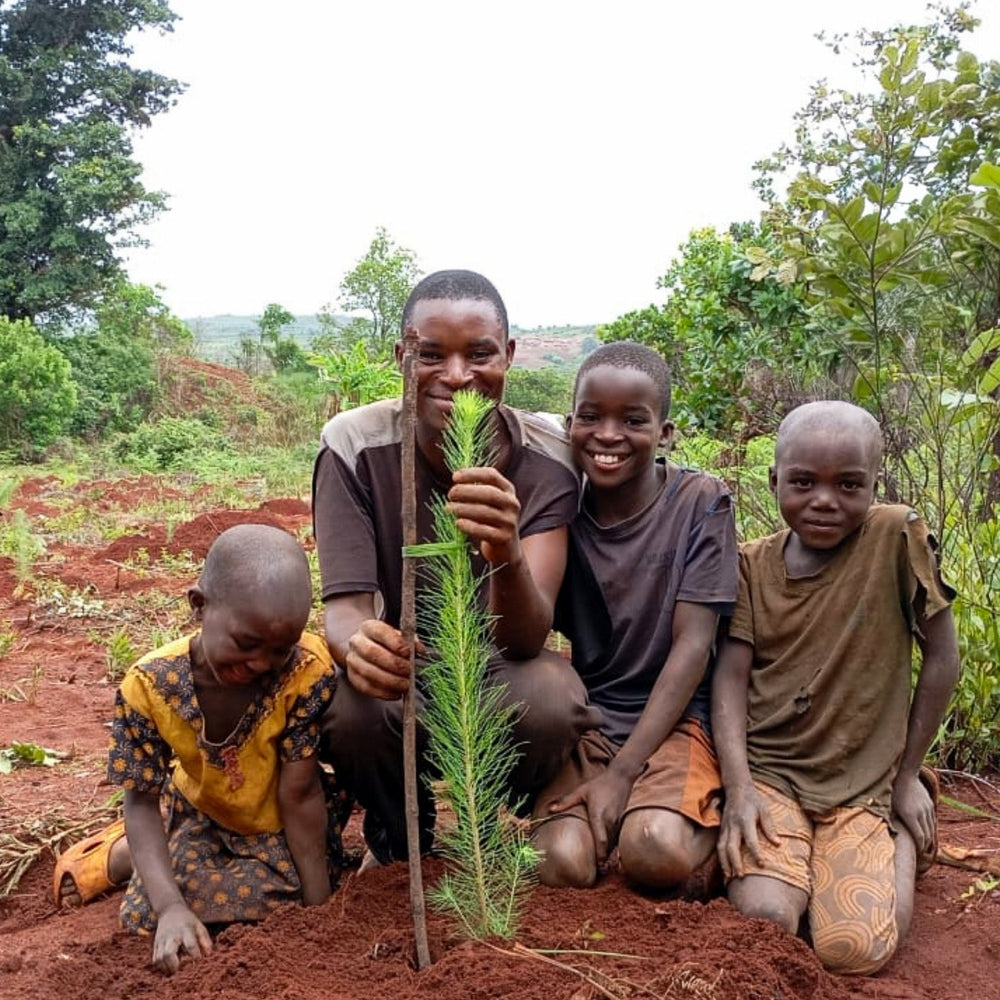 Family planting seedlings in Malawi