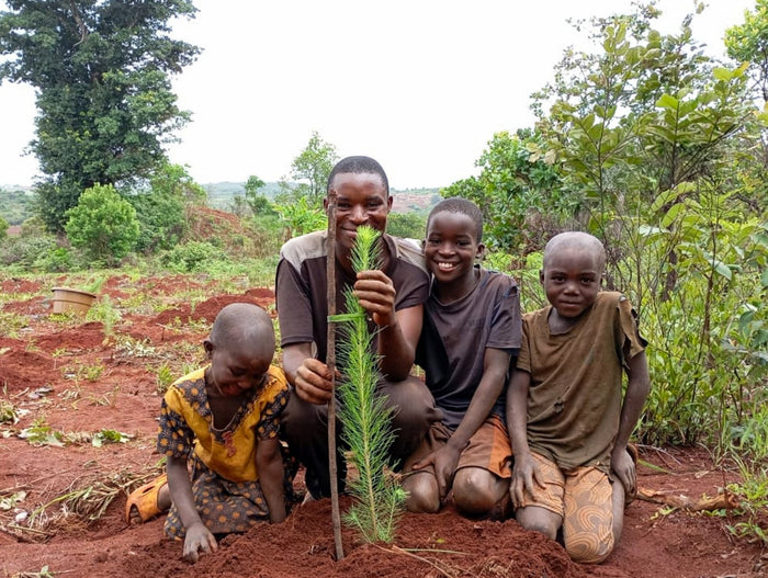 Family planting seedlings in Malawi