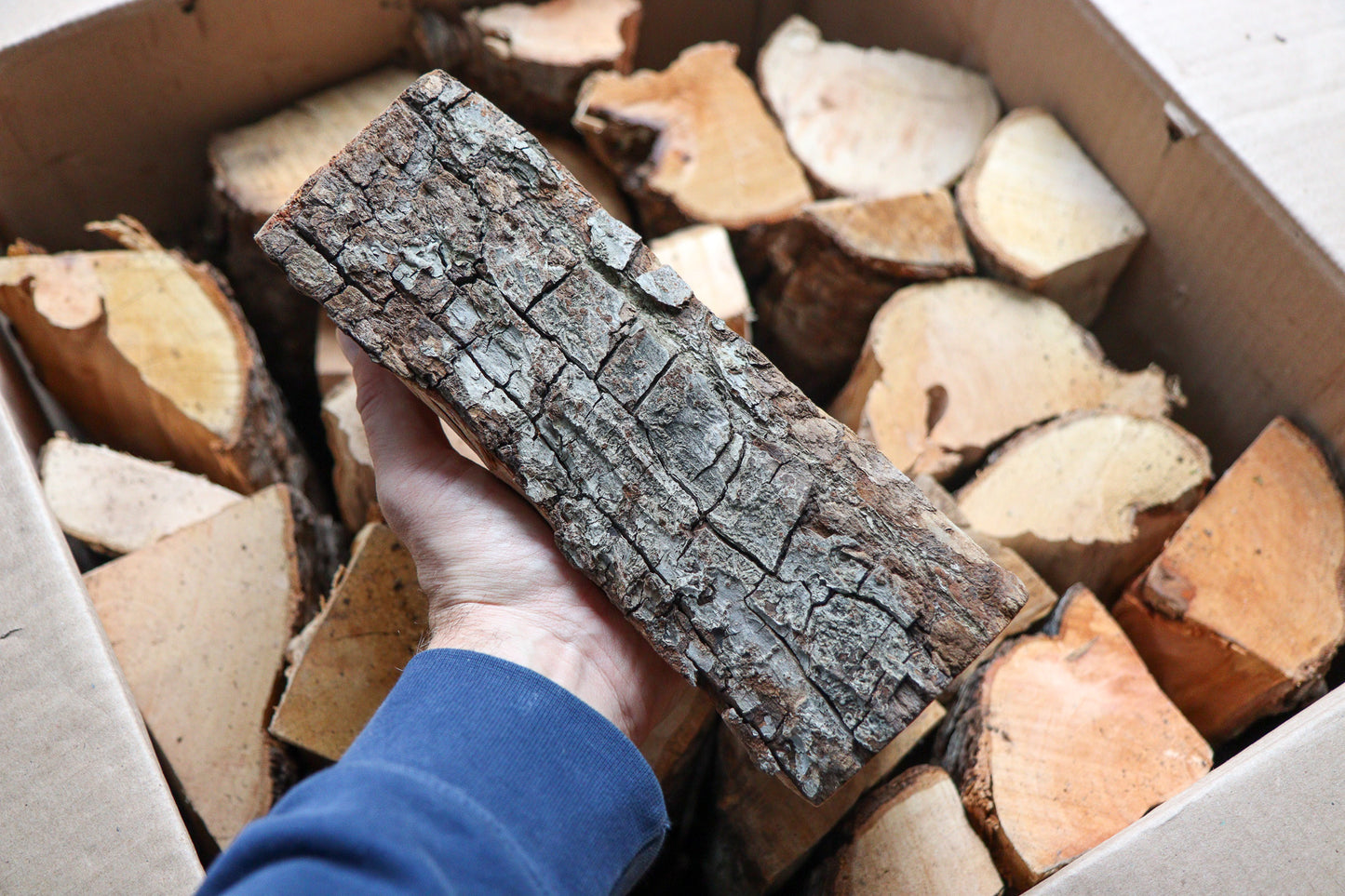 Love Logs Pear Wood in Hand