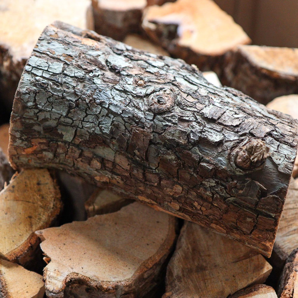 Litle Logs Pear Wood Logs – Love Logs