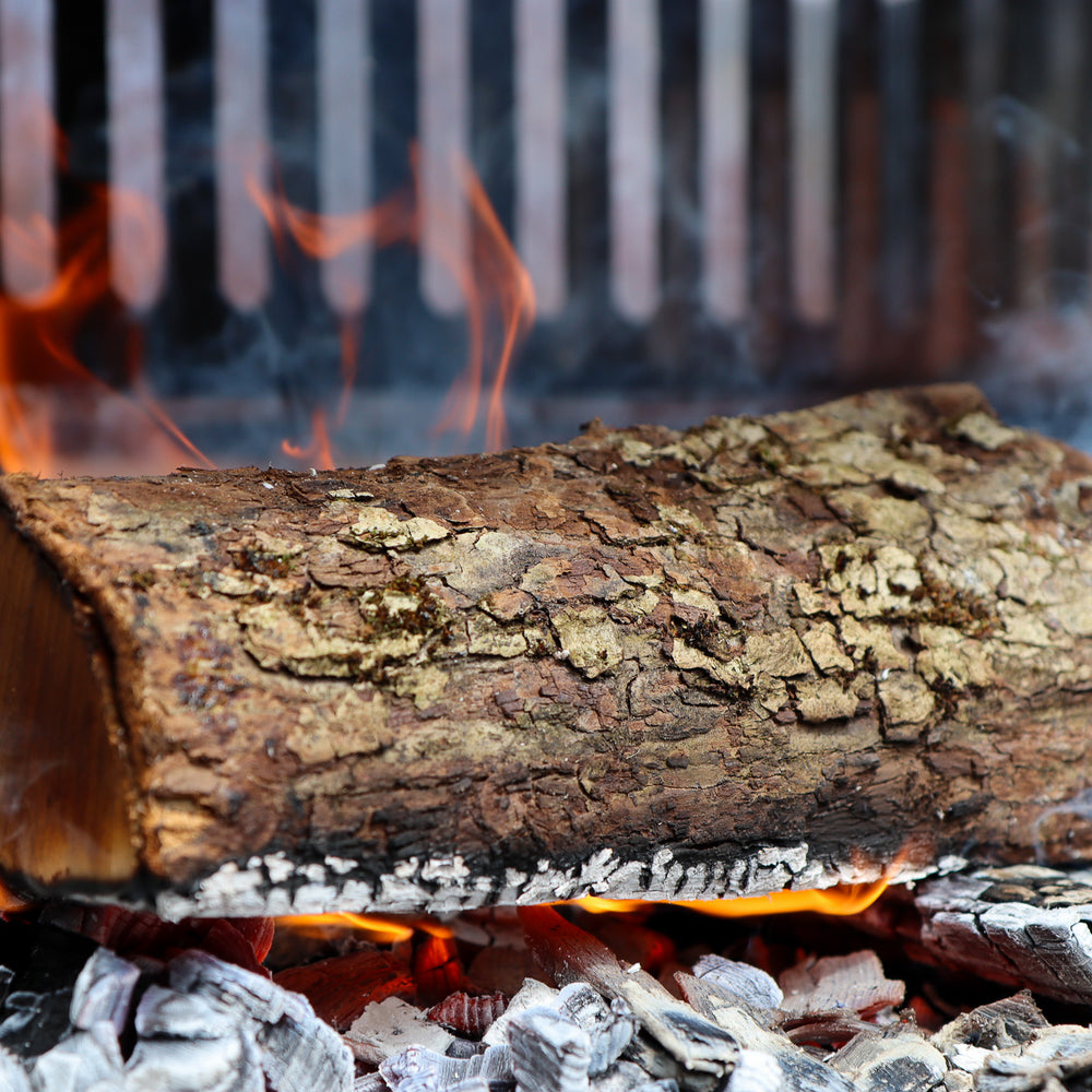 Buy Apple Wood Logs for Cooking | Love Logs
