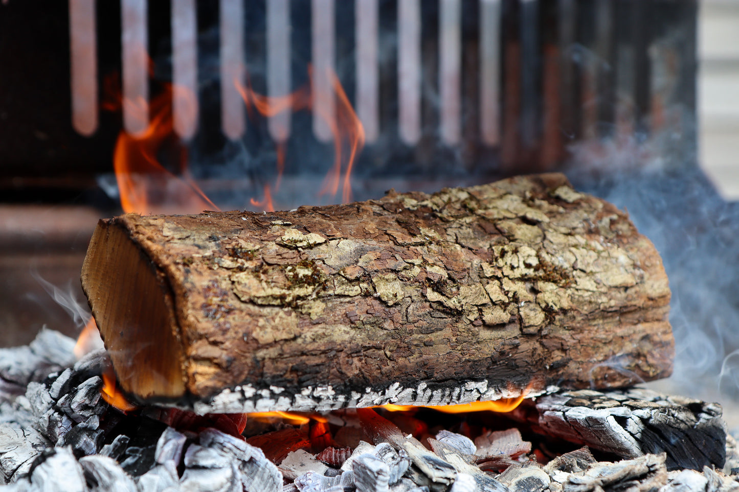 Love Logs Apple Log Burning on Asado BBQ