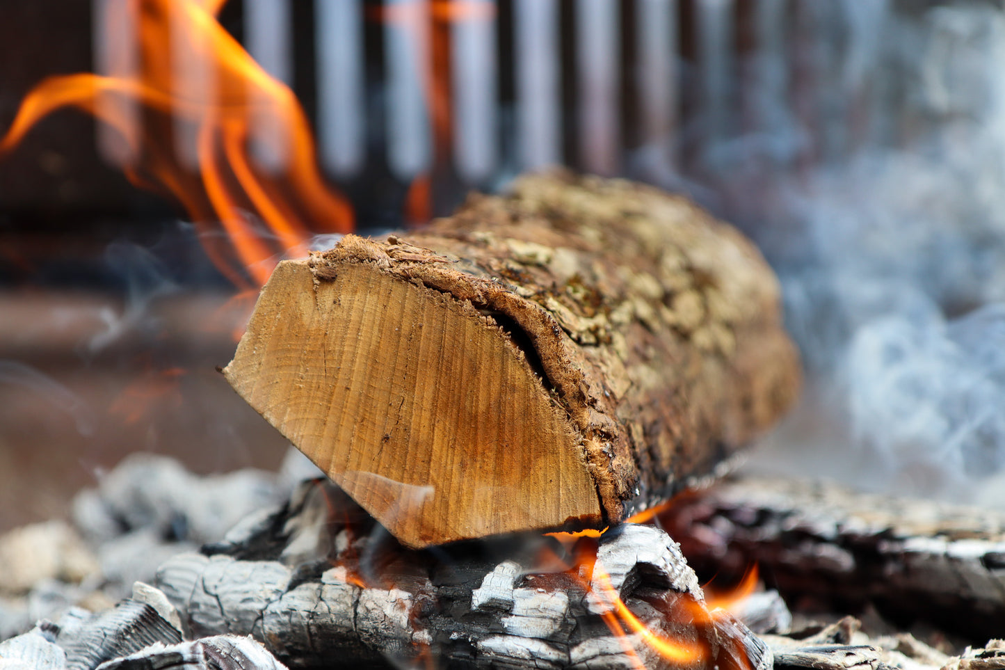 Love Logs Apple Log Burning on Asado BBQ