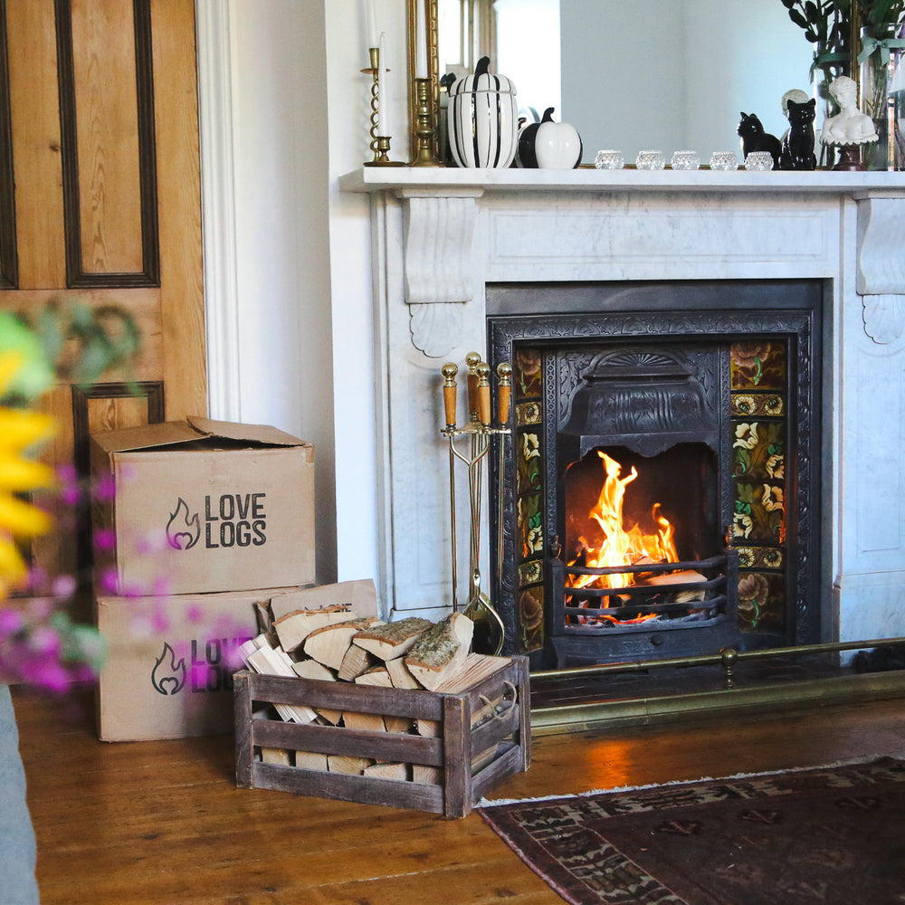 Open Fire Bundle