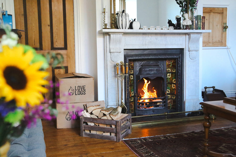 Open Fire Bundle