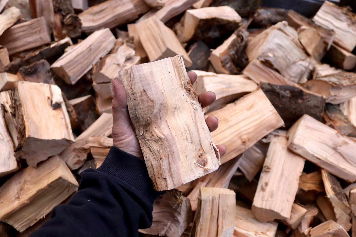 Apple Wood Logs