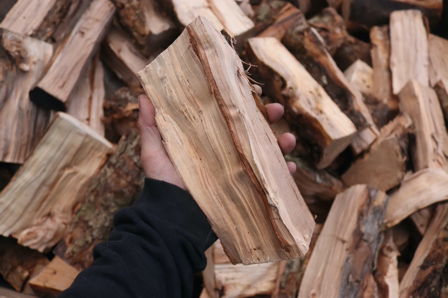 Apple Wood Logs