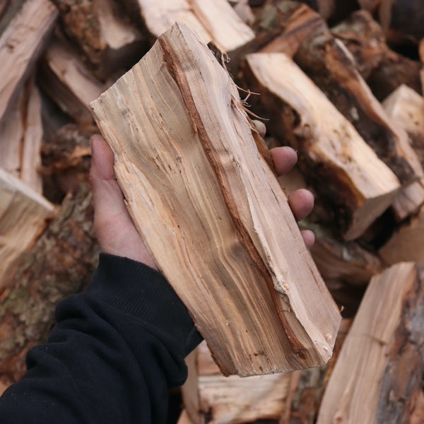 Apple wood logs best sale for sale near me